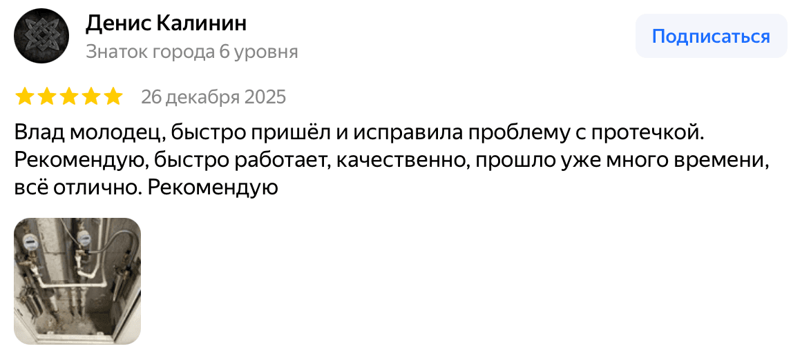 Отзыв Денис Калинин — скриншот Яндекс.Карт